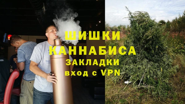ПСИЛОЦИБИНОВЫЕ ГРИБЫ Вязники