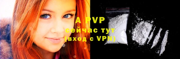 ПСИЛОЦИБИНОВЫЕ ГРИБЫ Вязники