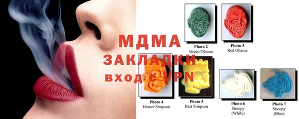 ПСИЛОЦИБИНОВЫЕ ГРИБЫ Вязники