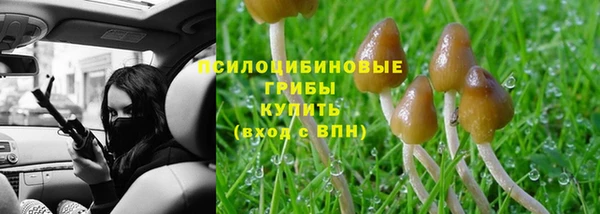 меф Тавда
