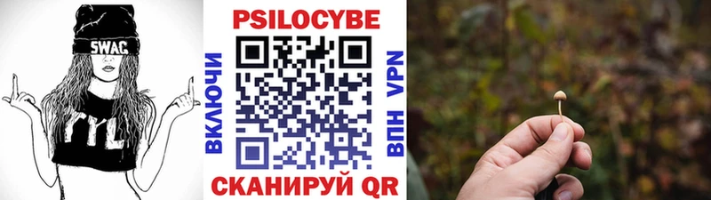 Галлюциногенные грибы Psilocybe мориарти телеграм Чудово